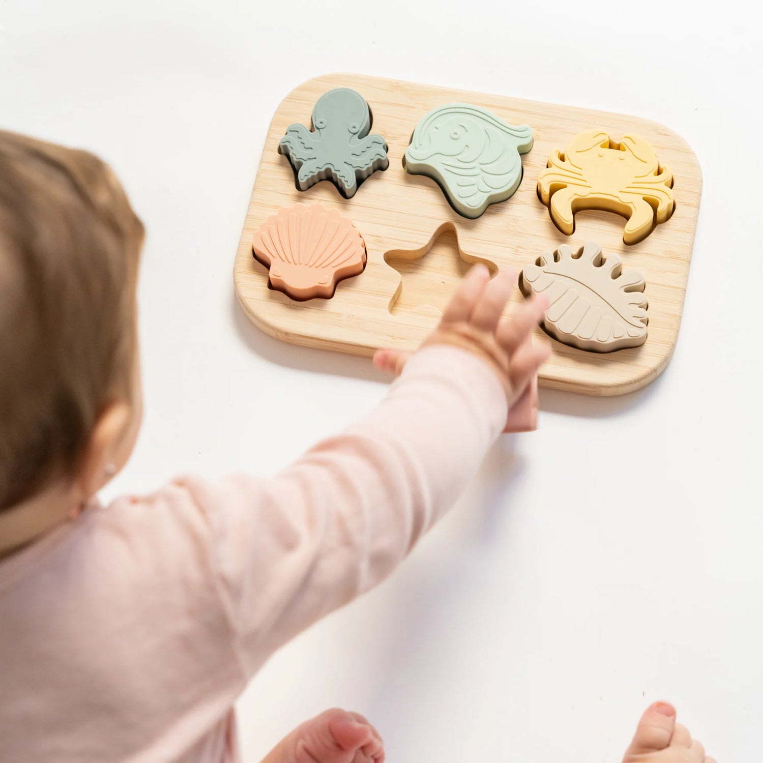 Puzle encajable "Sea Life" · Saro