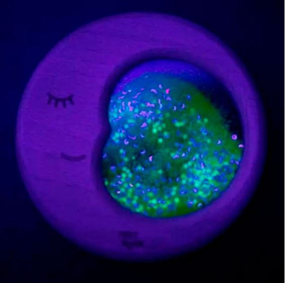 Luna sensorial Flow Moon · Petit Boum