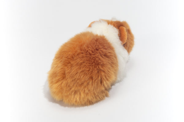 Cobaya · Hermann Teddy Collection