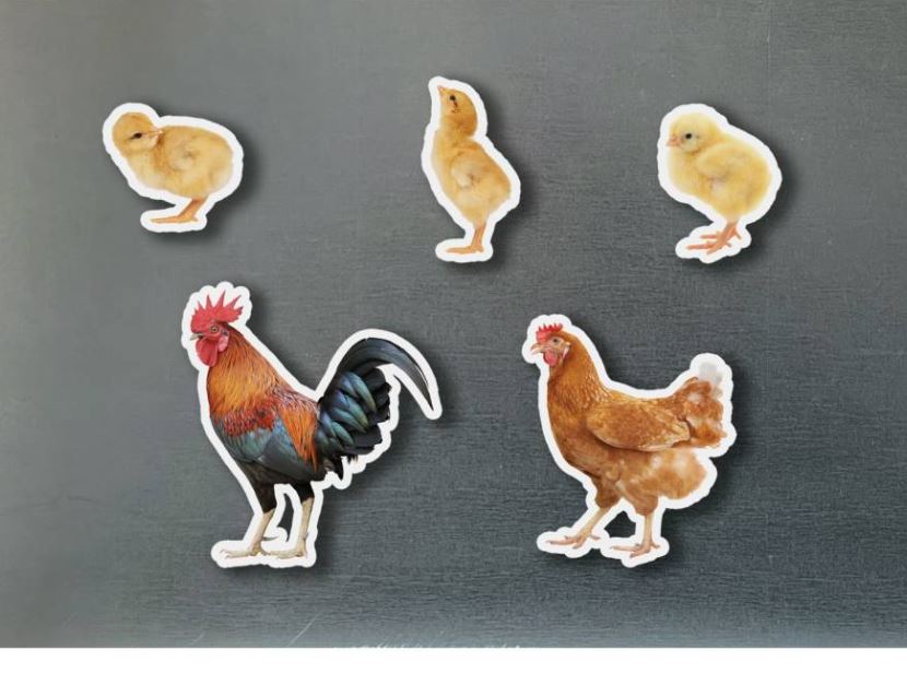 Piezas Magnéticas de Bambú Familia Gallinas · Nowordbooks