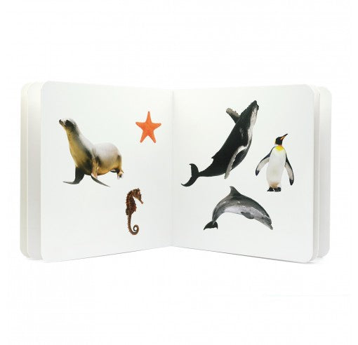 Libro de fotografias Animales Marinos 2 · Nowordbooks
