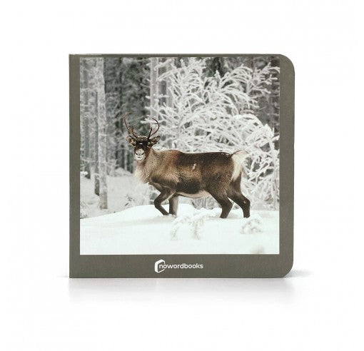 Libro de fotografias Animales Polares· Nowordbooks