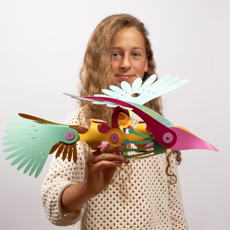 Tropical Birds · CLIXO