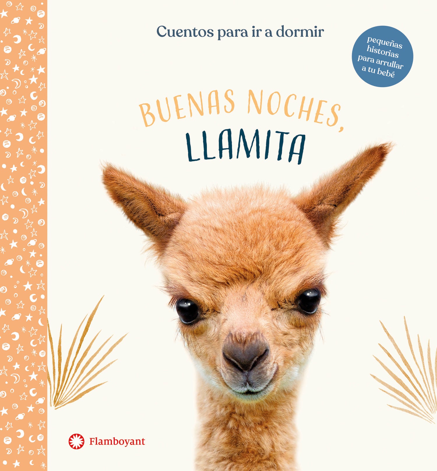 Buenas noches, Llamita. (Amanda Wood / Bec Winnel / Vikki Chu)  · Flamboyant