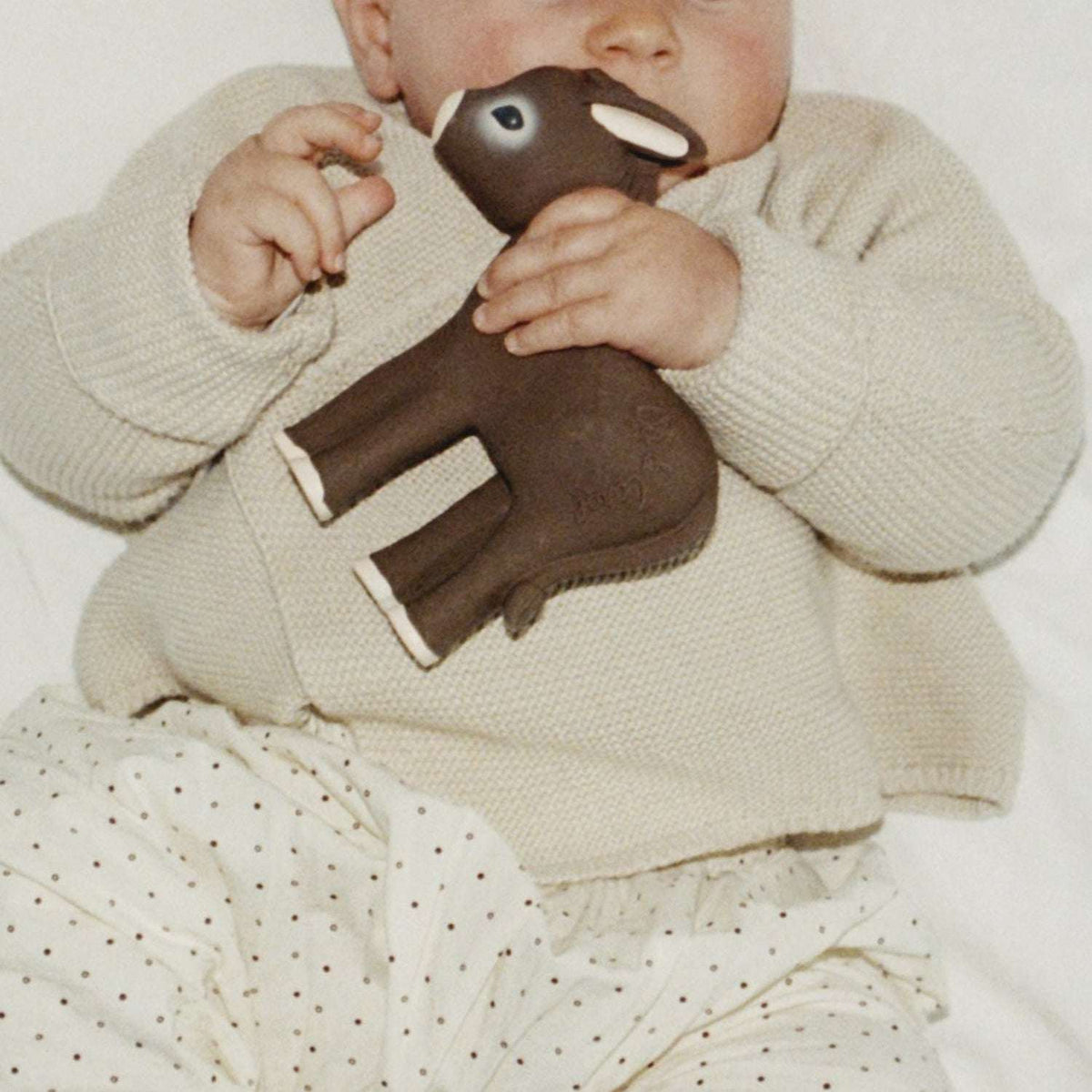 Mordedor Hector The Donkey · Oli & Carol