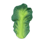 Mordedor Kendall The Kale · Oli & Carol
