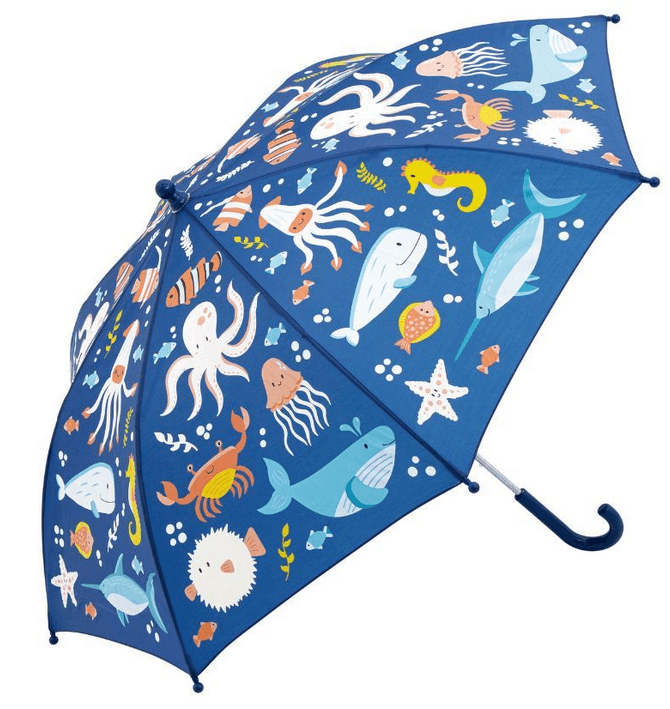 Paraguas Sea · Little L