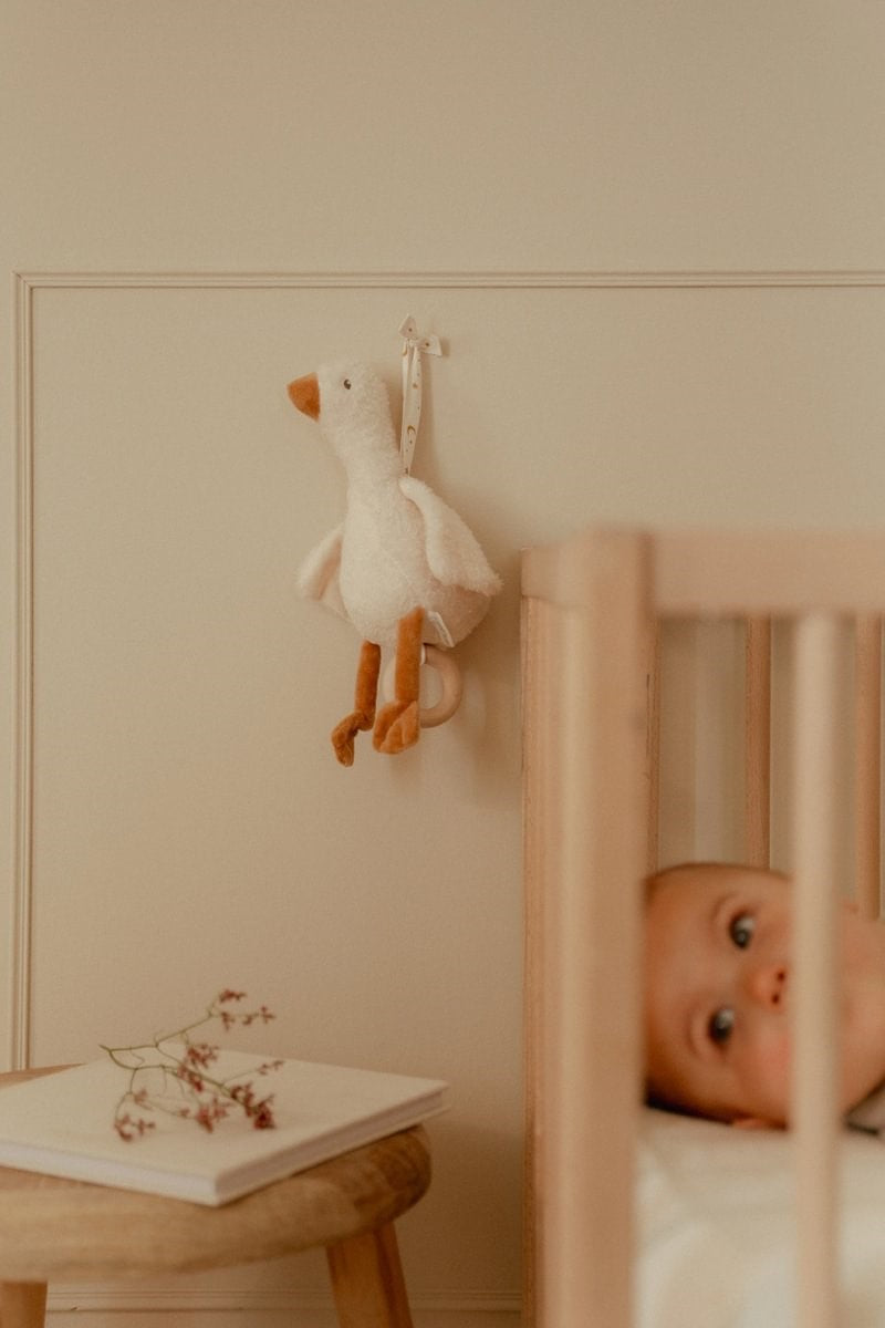 Oca Musical Newborn Natural · Little Dutch