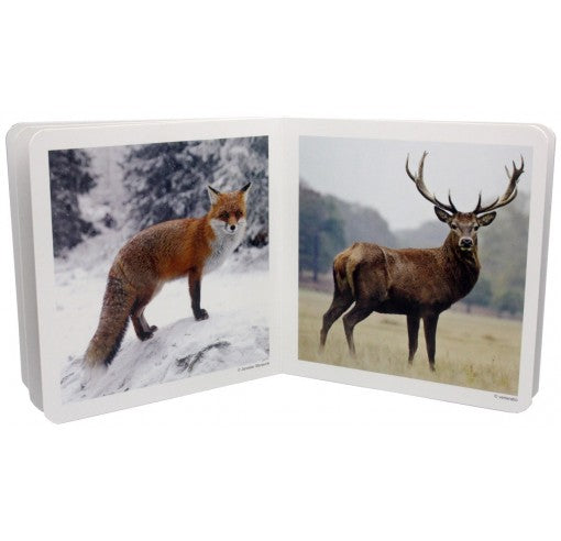 Libro de fotografias Animales del Bosque · Nowordbooks