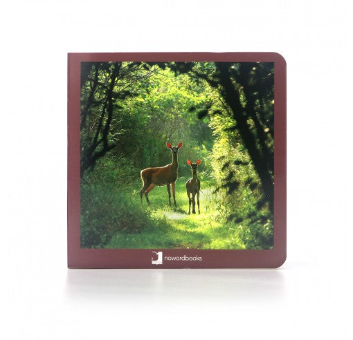 Libro de fotografias Animales del Bosque · Nowordbooks