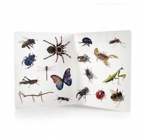 Libro de imágenes ¡Animales! · Nowordbooks