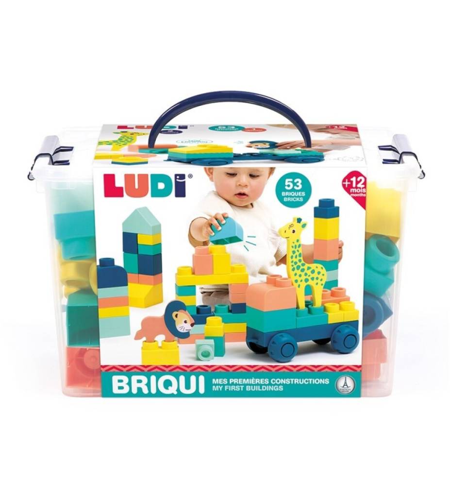 Bricks Mis Primeras Construcciones · Ludi