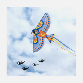 Cometa Maxi Bird Juego habilidad