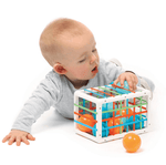Cubo de Manipulación Ludi