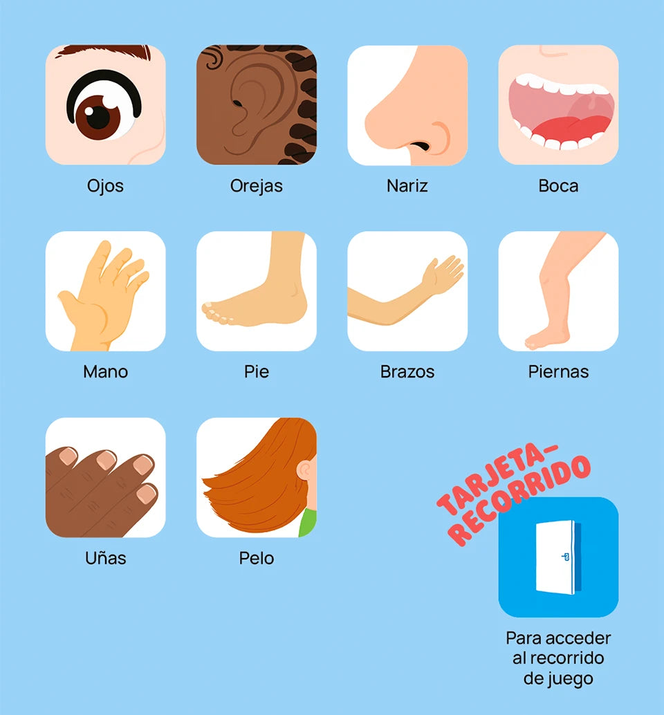 Primeros descubrimientos: el cuerpo · Faba