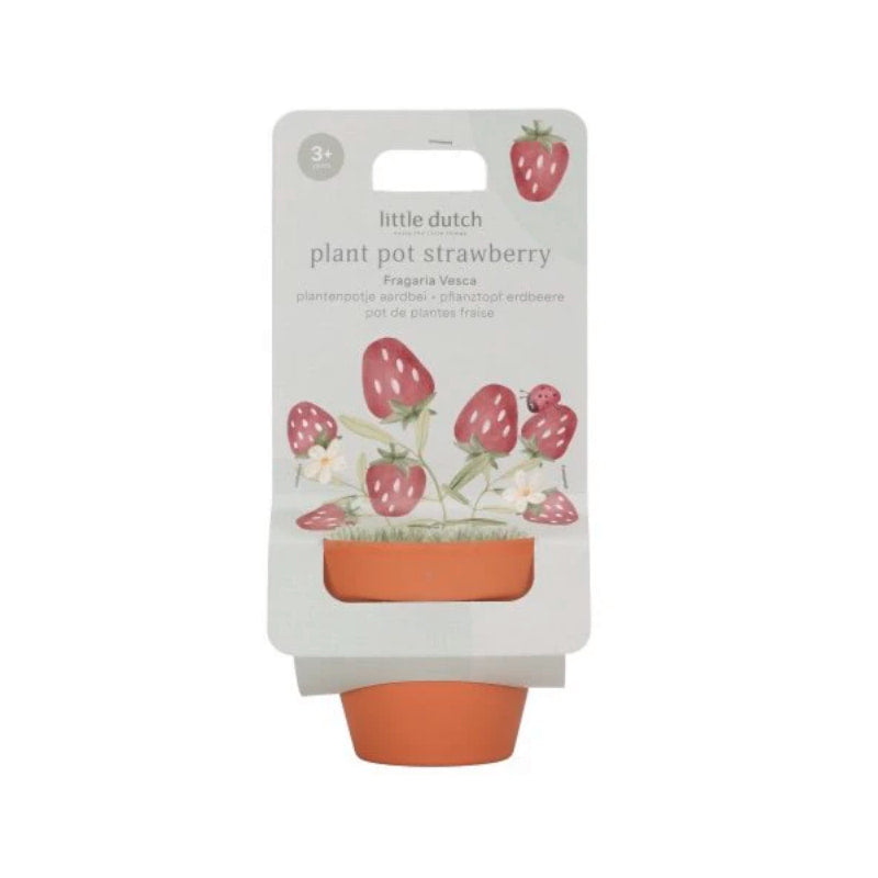 Maceta fresas · Little Dutch