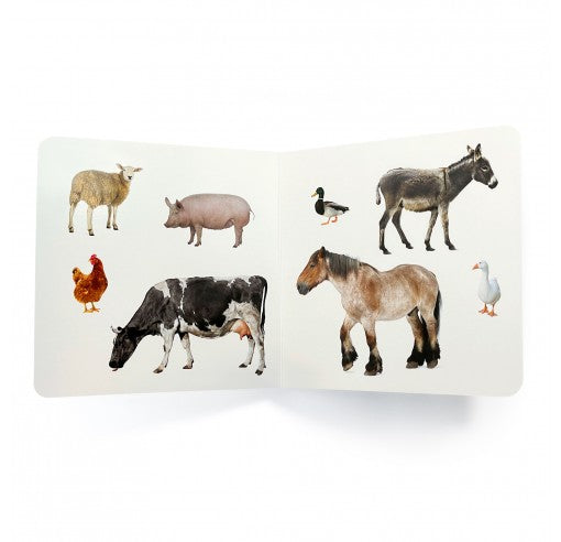 Libro de fotografias Los Animales de la Granja 2 · Nowordbooks