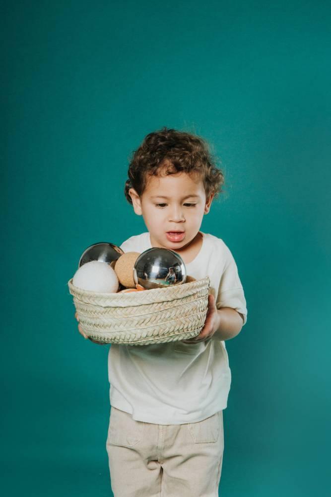 Panera Palm Basket Petit Boum