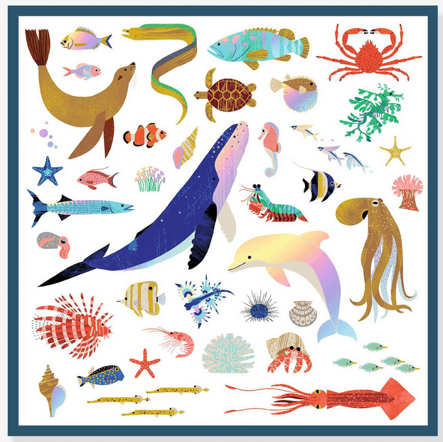 Pegatinas Océano Djeco