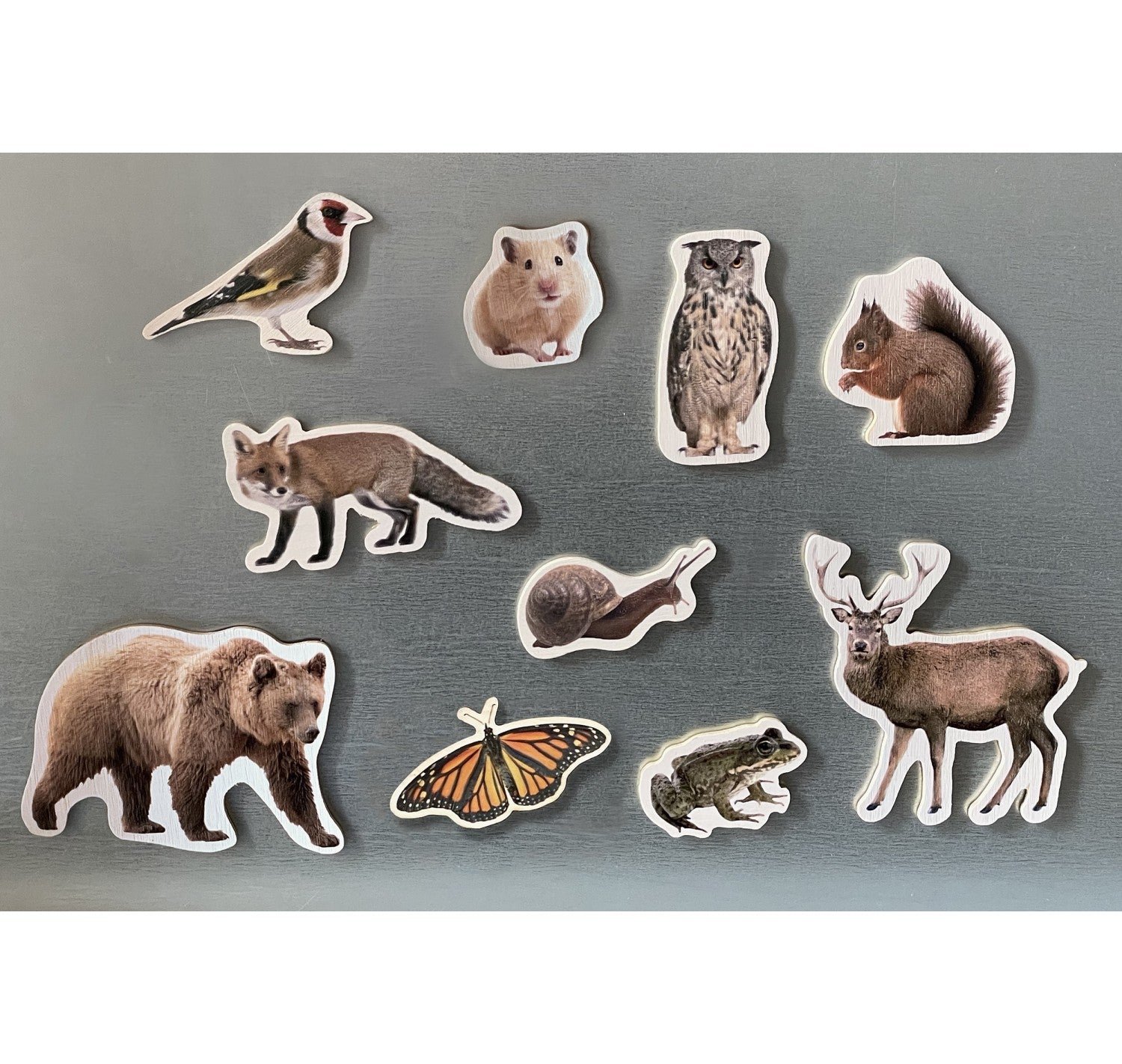 Piezas Magnéticas de Bambú (10 piezas) · Nowordbooks