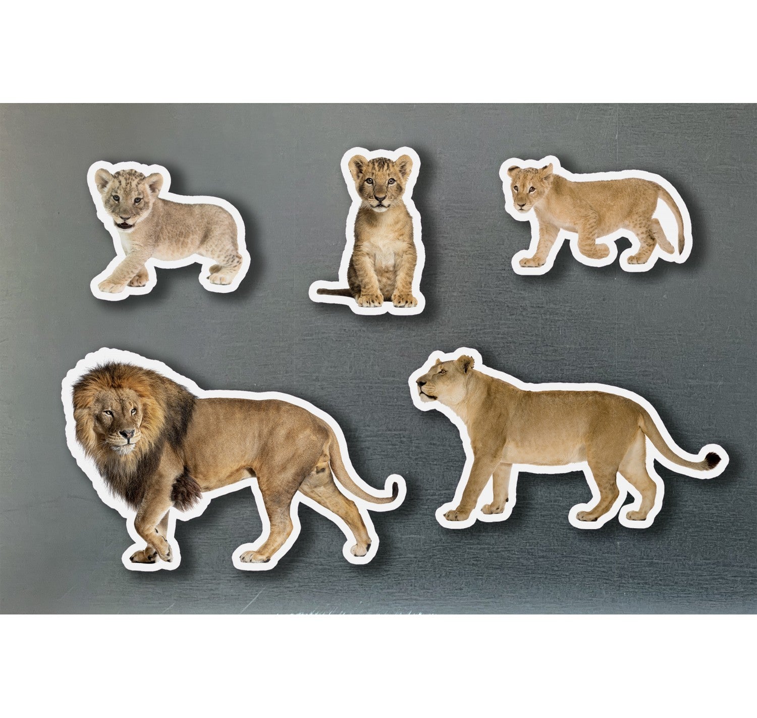 Piezas Magnéticas de Bambú Familia de Leones · Nowordbooks